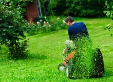 Kwikfynd Lawn Mowing
cuprona