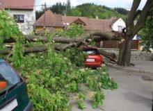 Kwikfynd Tree Cutting Services
cuprona